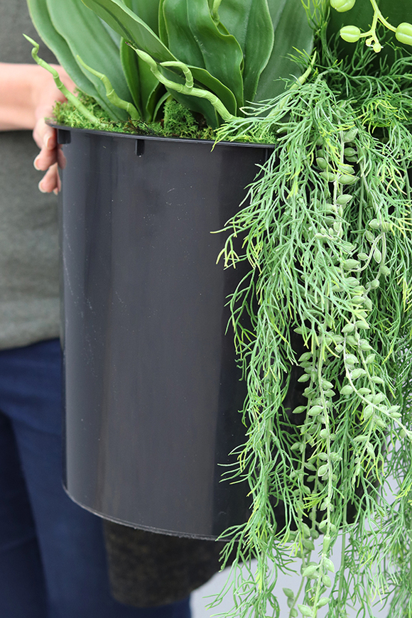 Mediolan Bianco Saute, storczyk w okrągłym wkładzie do donicy, wys.100cm 