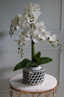 Gatsby, efektowny storczyk w porcelanowym naczyniu, wys.68cm 