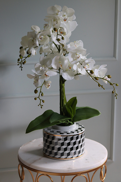 Gatsby, efektowny storczyk w porcelanowym naczyniu, wys.68cm 