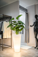 Della donica podświetlana światło ciepłe 40x75cm