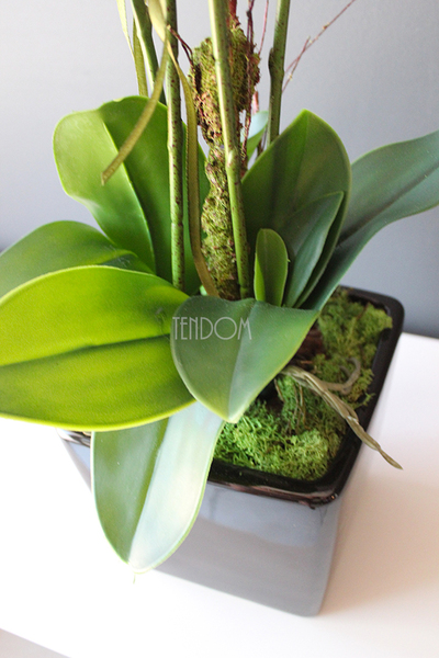 storczyk sztuczny gumowy w czarnej donicy Blackie, wys.65cm