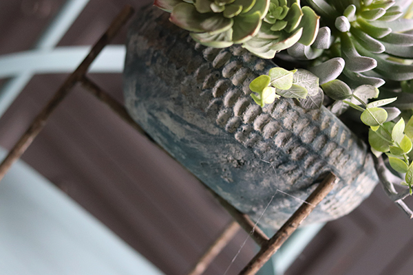 kompozycja sukulenty na trójnogu, Nikaragua, wys.38cm