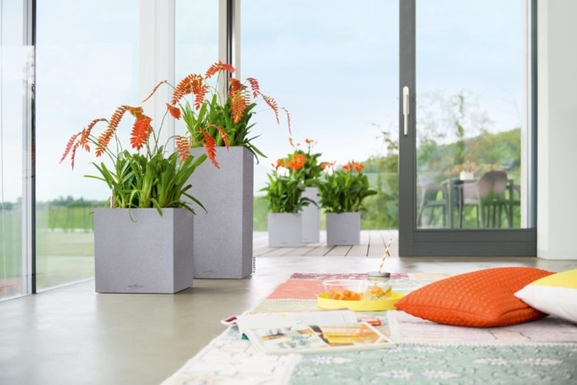 Canto Stone Kolumna, elegancka donica z nawadnianiem, szara, wym.56x30cm