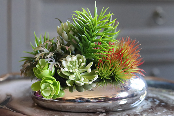 Revona Silver, mini kompozycja sukulenty, wys.15cm