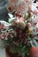 Pudrovy Glamour Winter, zimowy storczyk w złotej, eleganckiej donicy, wys.60cm