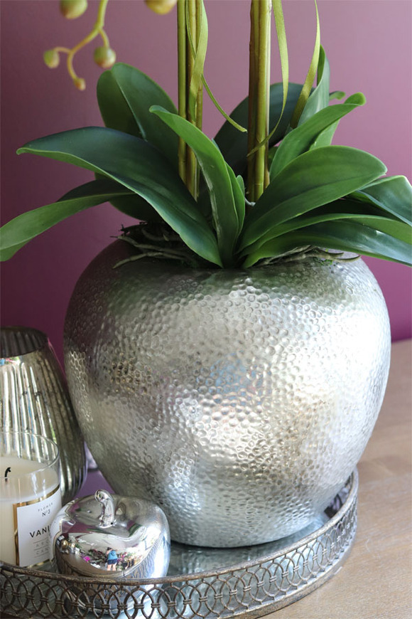 elegancki storczyk w srebrnym kulistym naczyniu, Kumari XL, wys.89cm 