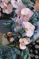 Elanea Orchid, efektowny wianek na drzwi, wym.53x115cm