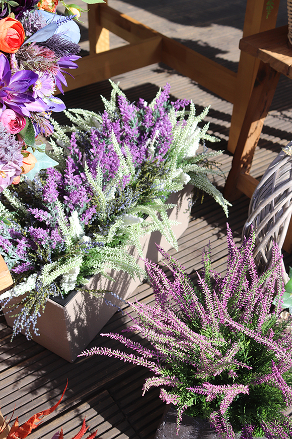 Wrzośce Wiśniowe, kompozycja kwiatowa w kwadratowej donicy, wys.37cm