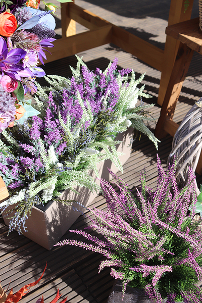 Wrzośce Wiśniowe, kompozycja kwiatowa w kwadratowej donicy, wys.37cm