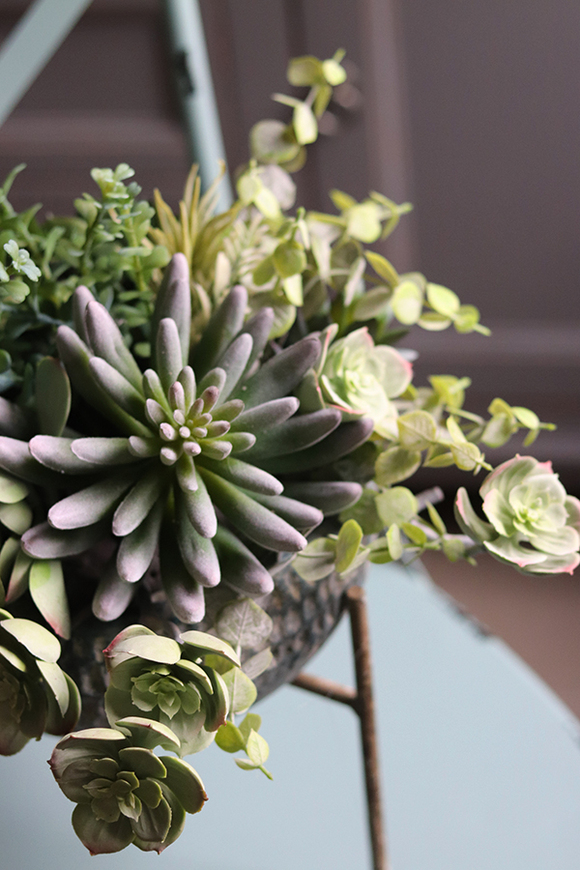 kompozycja sukulenty na trójnogu, Nikaragua, wys.38cm