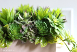 Batoneo, kompozycja ze sztucznych sukulentów w betonowej donicy, wys.22cm