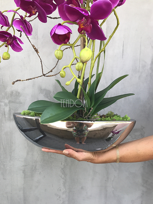 storczyk Fuksja w lustrzanej donicy Laos, wys.66cm