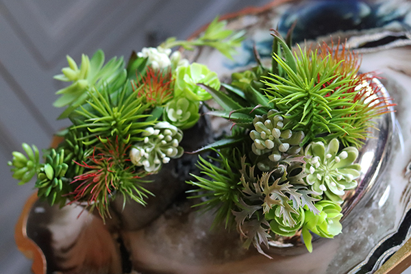 Revona Silver, mini kompozycja sukulenty, wys.15cm