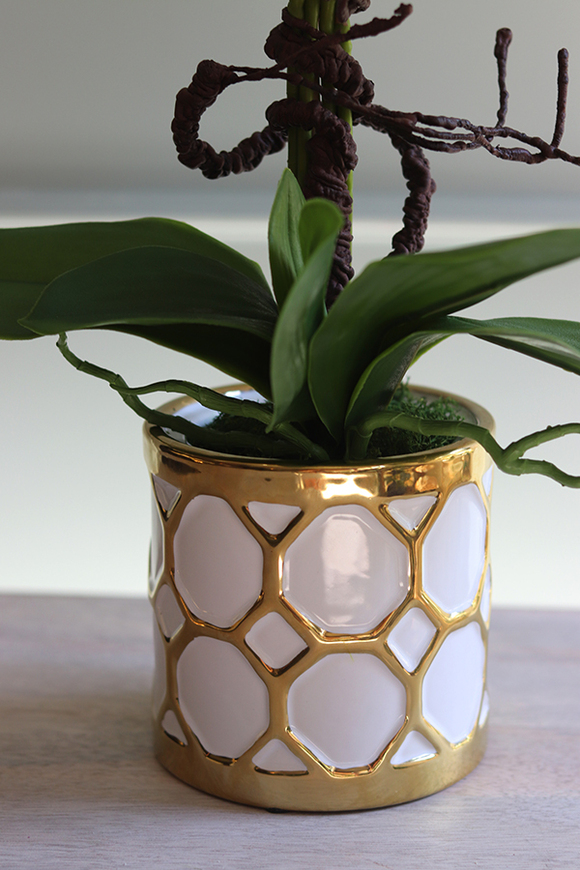 Goldenito Gostlik, storczyk w biało-złotym naczyniu, wys.52cm