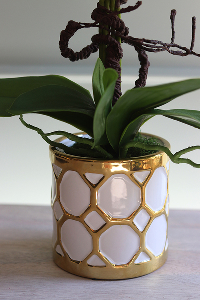 Goldenito Gostlik, storczyk w biało-złotym naczyniu, wys.52cm