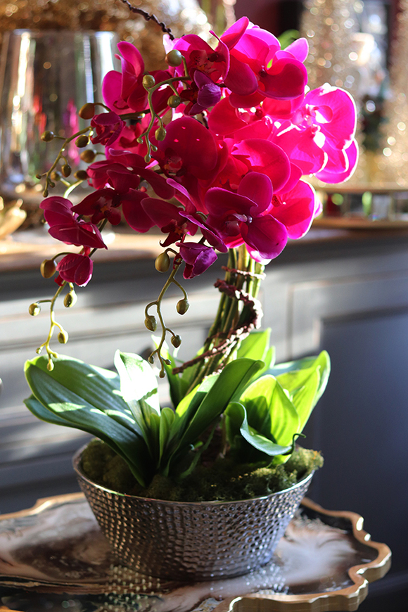 Liwona Debora, storczyk w srebrnej donicy glamour, wys.56cm