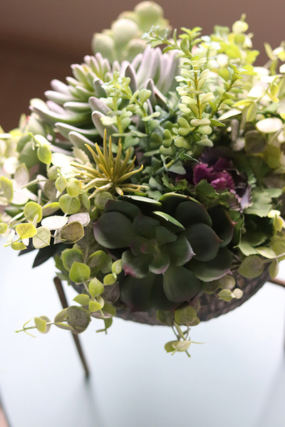 kompozycja sukulenty na trójnogu, Nikaragua, wys.38cm