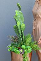 Acapulco Golderia, sukulenty z kaktusem w miedzianej donicy, wys.130cm 