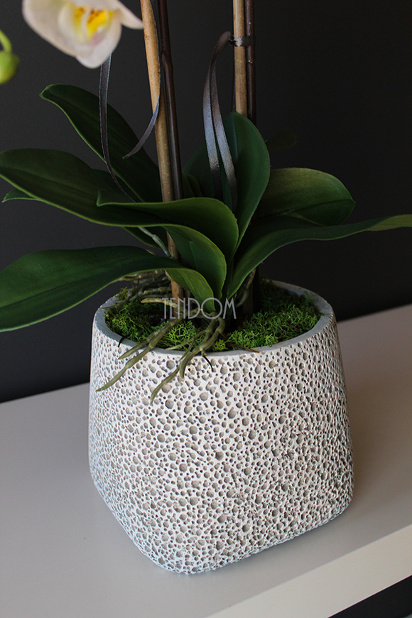 storczyk sztuczny w nakrapianej donicy Grasso, wys.65cm