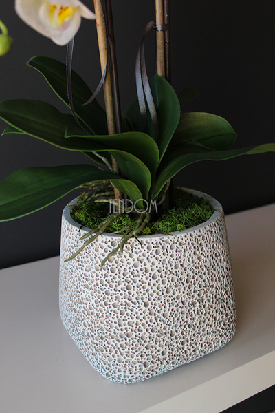 storczyk sztuczny w nakrapianej donicy Grasso, wys.65cm