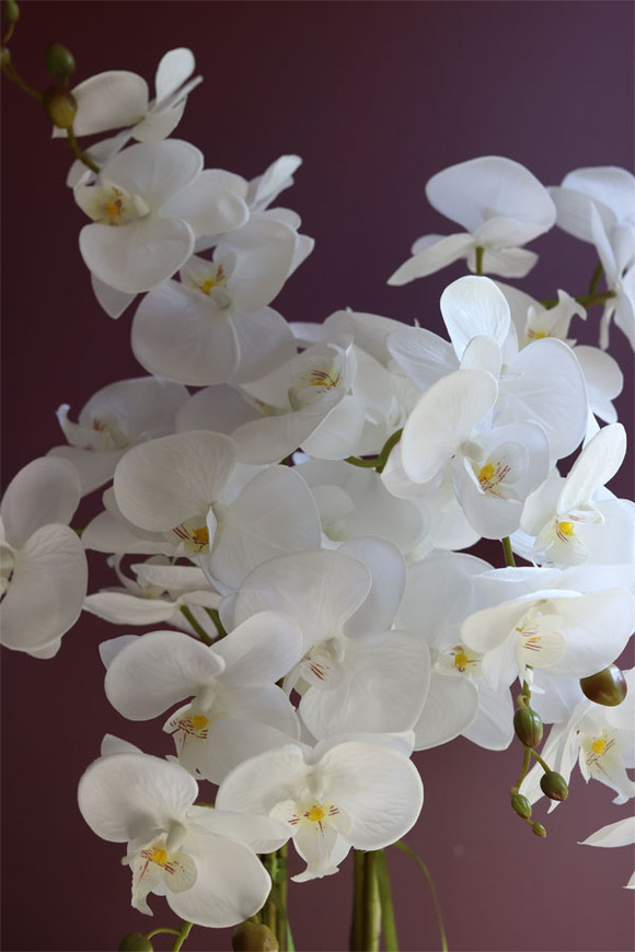 elegancki storczyk w srebrnym kulistym naczyniu, Kumari XL, wys.89cm 