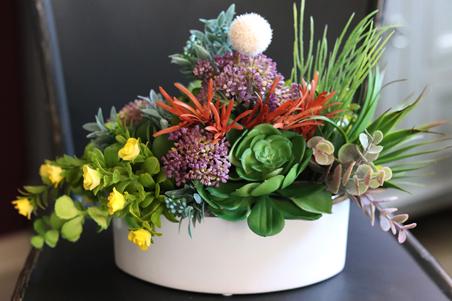 Sukulenty Maestro w owalnej donicy, wys.22cm