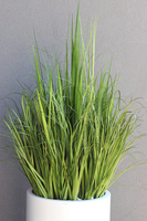Geronia Fiberglass, wysokiej jakości sztuczna trawa w białej donicy, wys.170cm