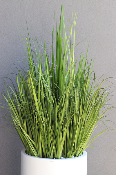 Geronia Fiberglass, wysokiej jakości sztuczna trawa w białej donicy, wys.170cm