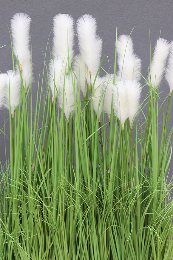 Georgina Saute, kompozycja z traw do obsadzenia, wys.149cm