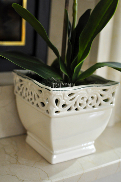 storczyk zielony Green wys.68cm