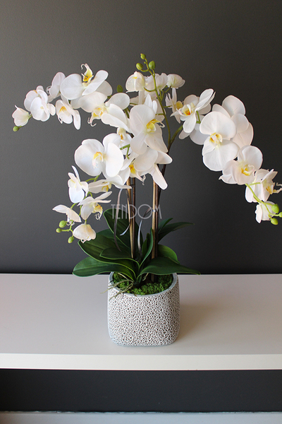 storczyk sztuczny w nakrapianej donicy Grasso, wys.65cm