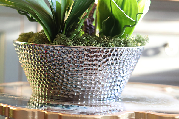 Liwona Debora, storczyk w srebrnej donicy glamour, wys.56cm