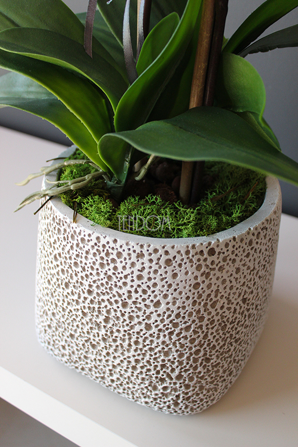 storczyk sztuczny w nakrapianej donicy Grasso, wys.65cm