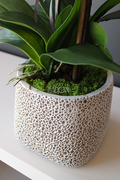 storczyk sztuczny w nakrapianej donicy Grasso, wys.65cm