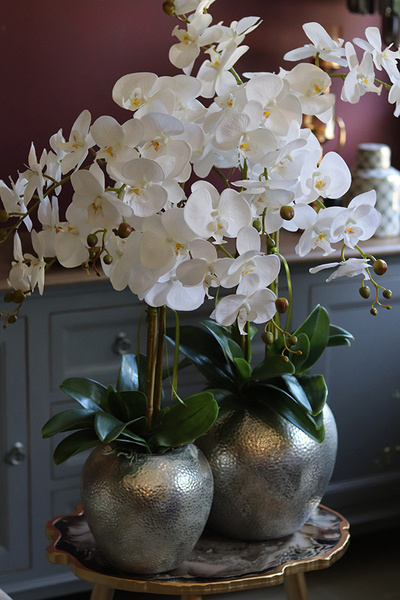 elegancki storczyk w srebrnym kulistym naczyniu, Kumari XL, wys.89cm 