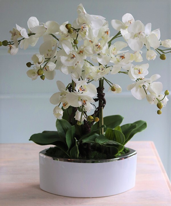 Jedova Manfredo, sztuczny storczyk w białej donicy, wys.60cm