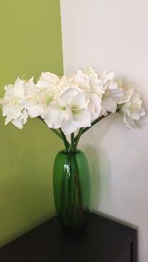 Amarylis Biel, sztuczny kwiat / gałązka 1 szt. , wys.76cm
