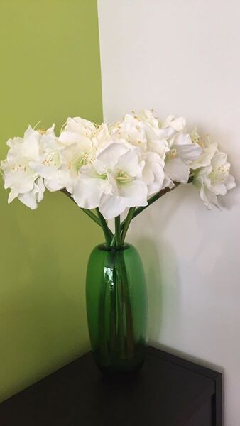 Amarylis Biel, sztuczny kwiat / gałązka 1 szt. , wys.76cm 
