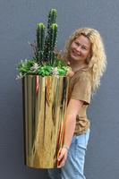 Borneo Golderia, sukulenty z kaktusem w złotej donicy, wys.110cm