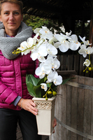 sztuczny storczyk Kassena w kolorze naturalnej bieli, wys.70cm