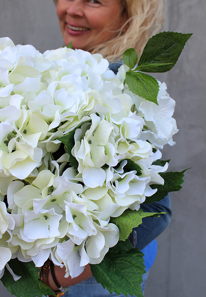 Cooler z hortensjami, elegancka kompozycja kwiatowa, wys.40cm