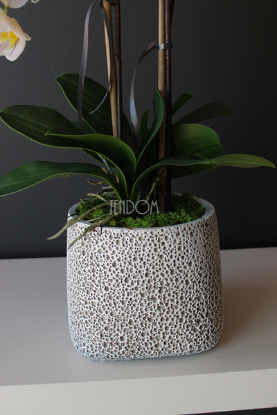 storczyk sztuczny w nakrapianej donicy Grasso, wys.65cm