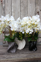 storczyk Fala w czarnej donicy, wys.58cm