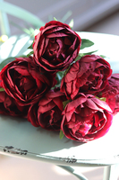 Bella Italia, bukiet bordowych peoni, 7szt. dł.42cm