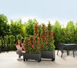 Trio Cottage, donica z nawadnianiem, rattan, granit, dł.130cm