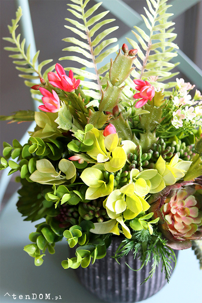 atrakcyjna kompozycja sukulenty, Monterra Villeto, wys.37cm