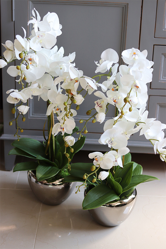 Aurelia Silver Small, elegancki storczyk w srebrnej donicy, wys.65cm