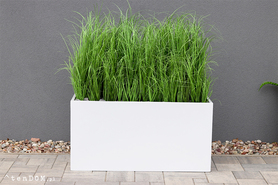 Fiberglass Grande Premium, sztuczne trawy w eleganckiej donicy, wys. 110cm