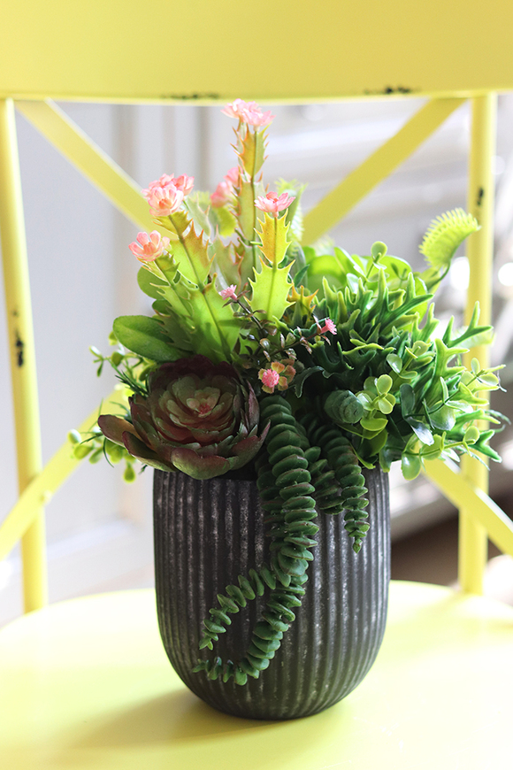 atrakcyjna kompozycja sukulenty Monterra, wys.37cm