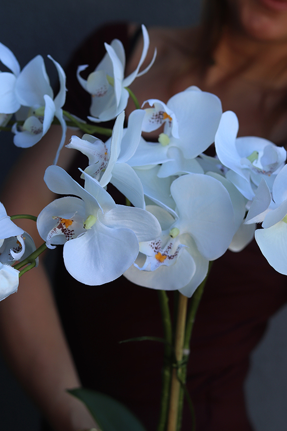 Silver Tenno, storczyk w srebrnej donicy o oryginalnej fakturze, wys.62cm 